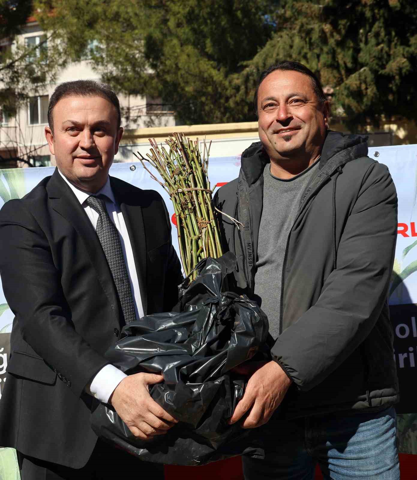 50 bin adet üzümsü fidan dağıtıldı
