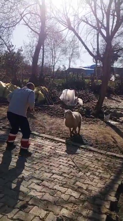 51 yaşındaki dünya şampiyonu, güreşçi koçla antrenman yaptı
51 yaşındaki dünya şampiyonu, güreşçi koçla antrenman yaptı