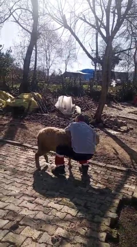 51 yaşındaki dünya şampiyonu, güreşçi koçla antrenman yaptı
51 yaşındaki dünya şampiyonu, güreşçi koçla antrenman yaptı