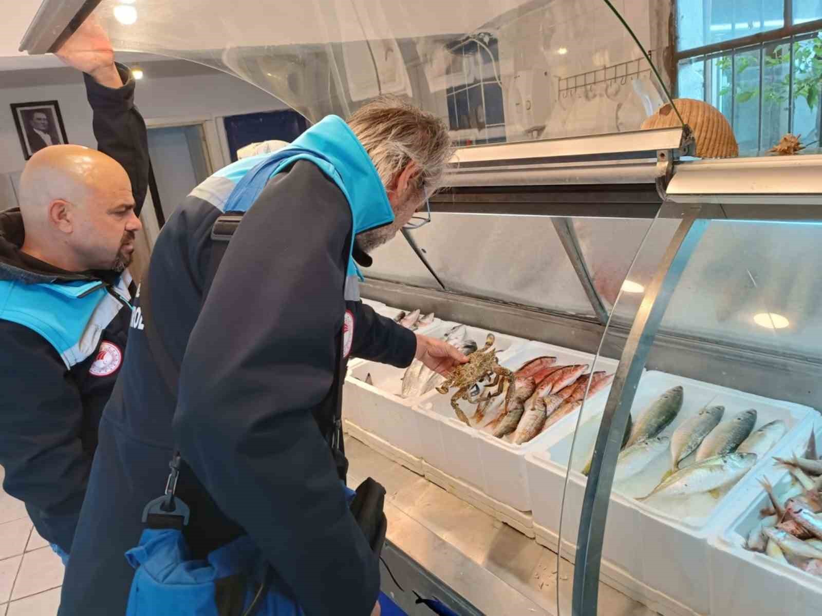 6 işletmeye 379 bin TL ceza
6 işletmeye 379 bin TL ceza