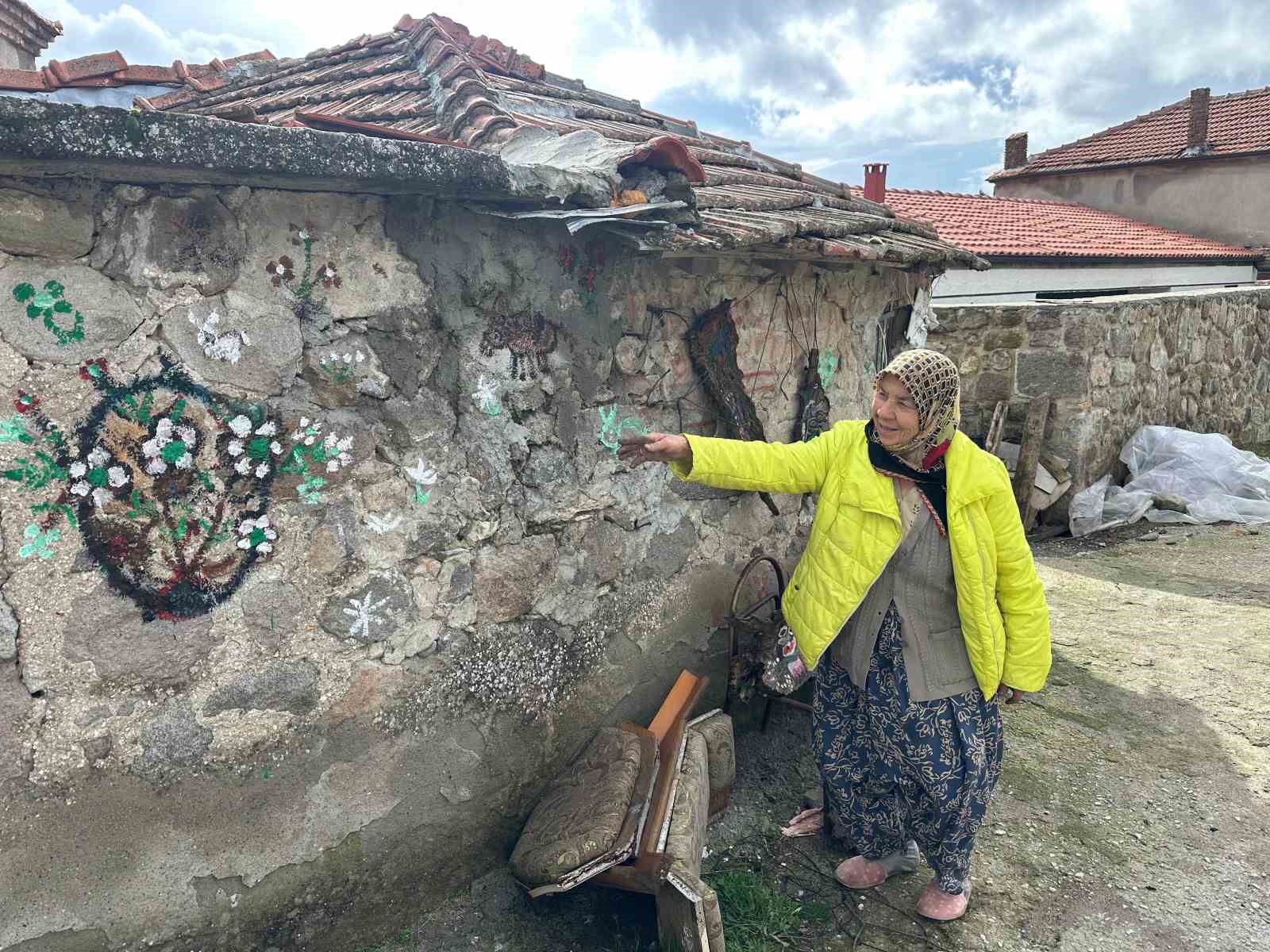 74 yaşındaki Hakime teyzenin resim tutkusu
