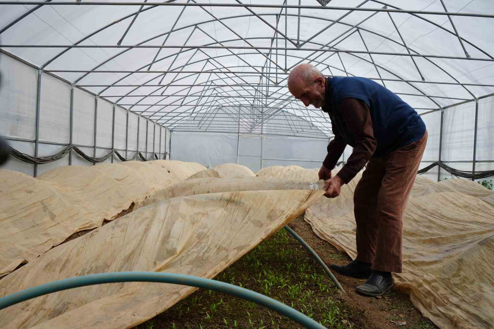 76 yaşındaki Bayburtlu üretici ata tohumları için zirai don nöbetinde
