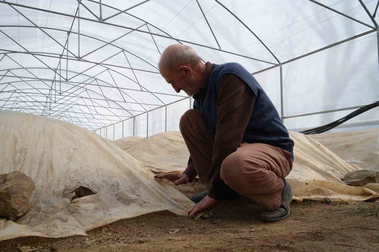 76 yaşındaki Bayburtlu üretici ata tohumları için zirai don nöbetinde

