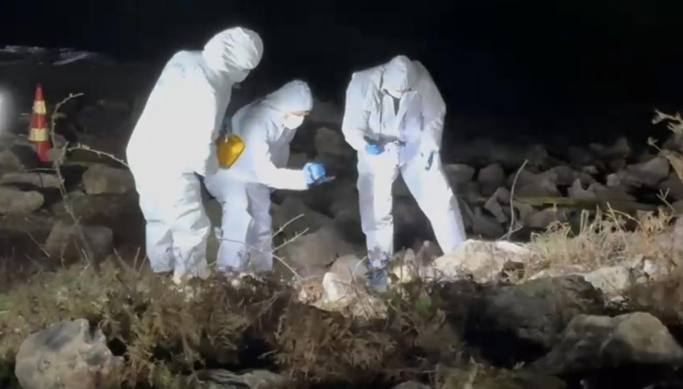 8 gün sonra gölette bulundu: Elif Kumal’ın ölüm nedeni belli oldu
8 gün sonra gölette bulundu: Elif Kumal’ın ölüm nedeni belli oldu