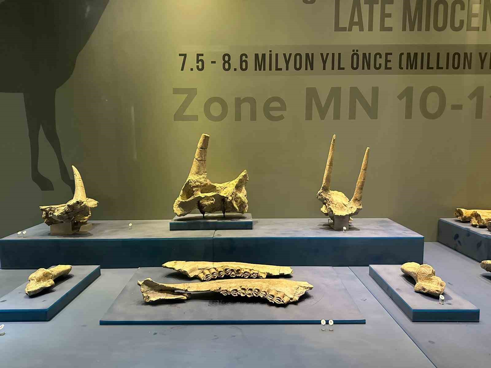 8 milyon yıl öncesine tanıklık eden müze 40 bin kişiyi ağırladı
