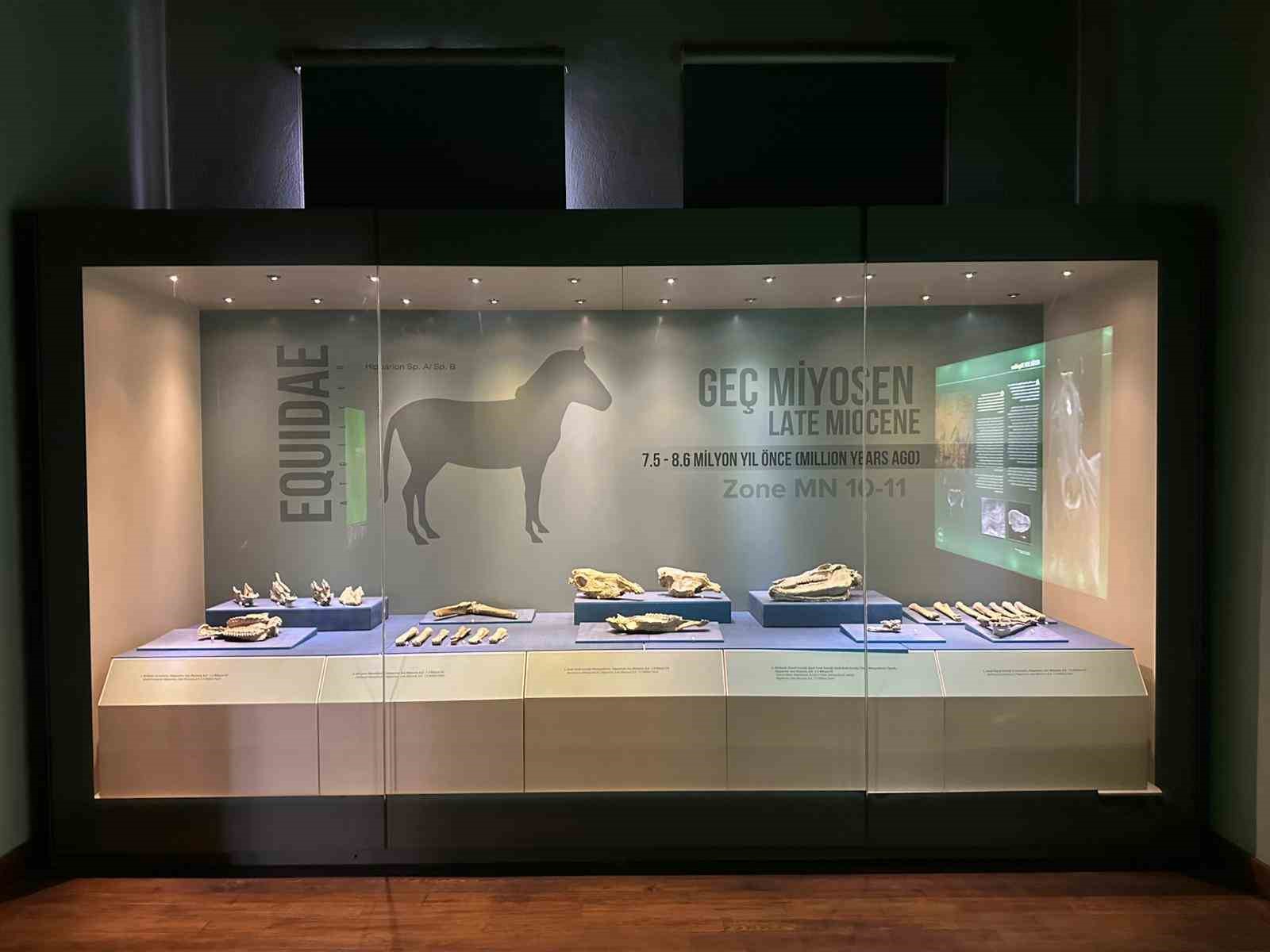 8 milyon yıl öncesine tanıklık eden müze 40 bin kişiyi ağırladı
