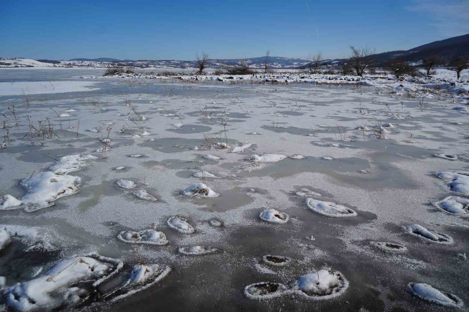 870 hektarlık Ladik Gölü buz tuttu: Kar yağışı göle can suyu oldu

