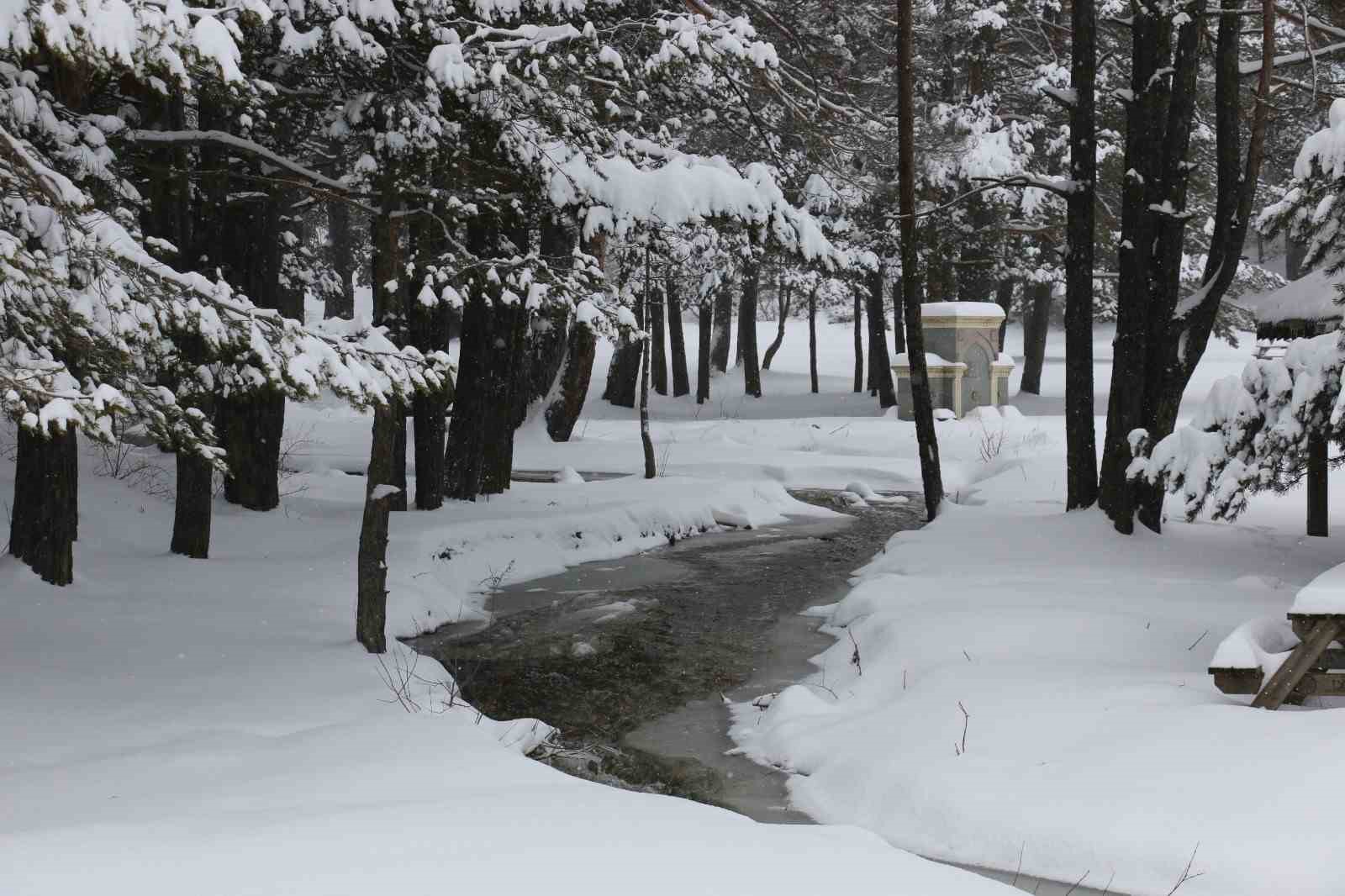 Abant Gölü Milli Parkı beyaza büründü
