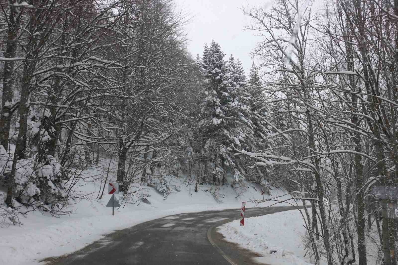 Abant Gölü Milli Parkı beyaza büründü
