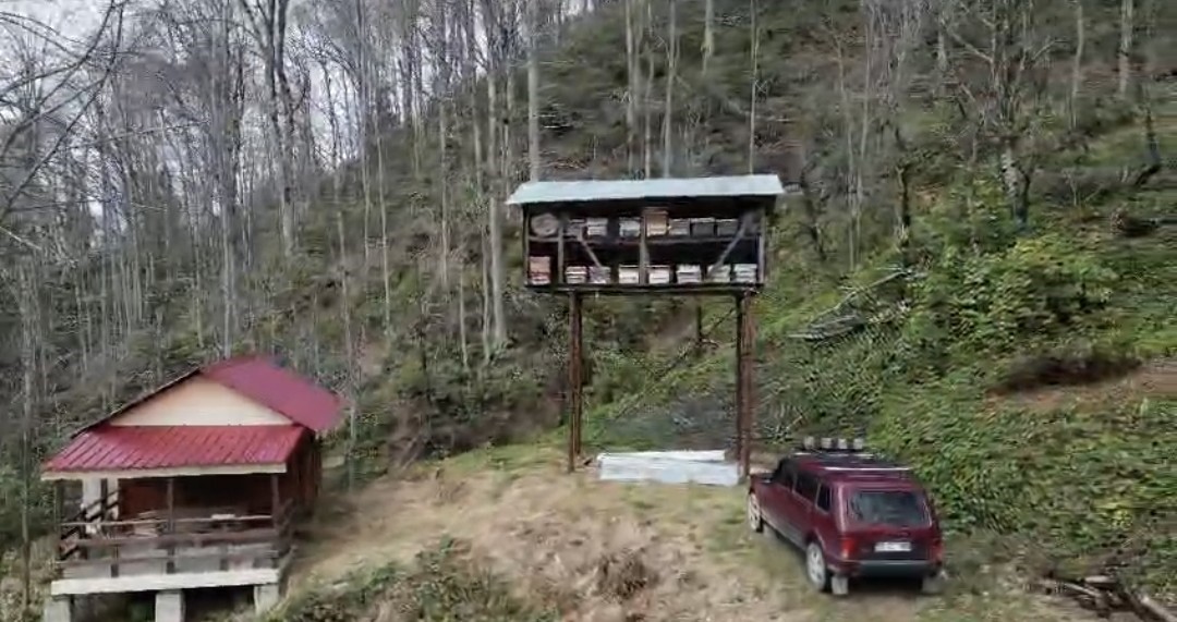 Aç kalan ayı kovanlara ulaşmak için düz demire tırmanmaya çalıştı
