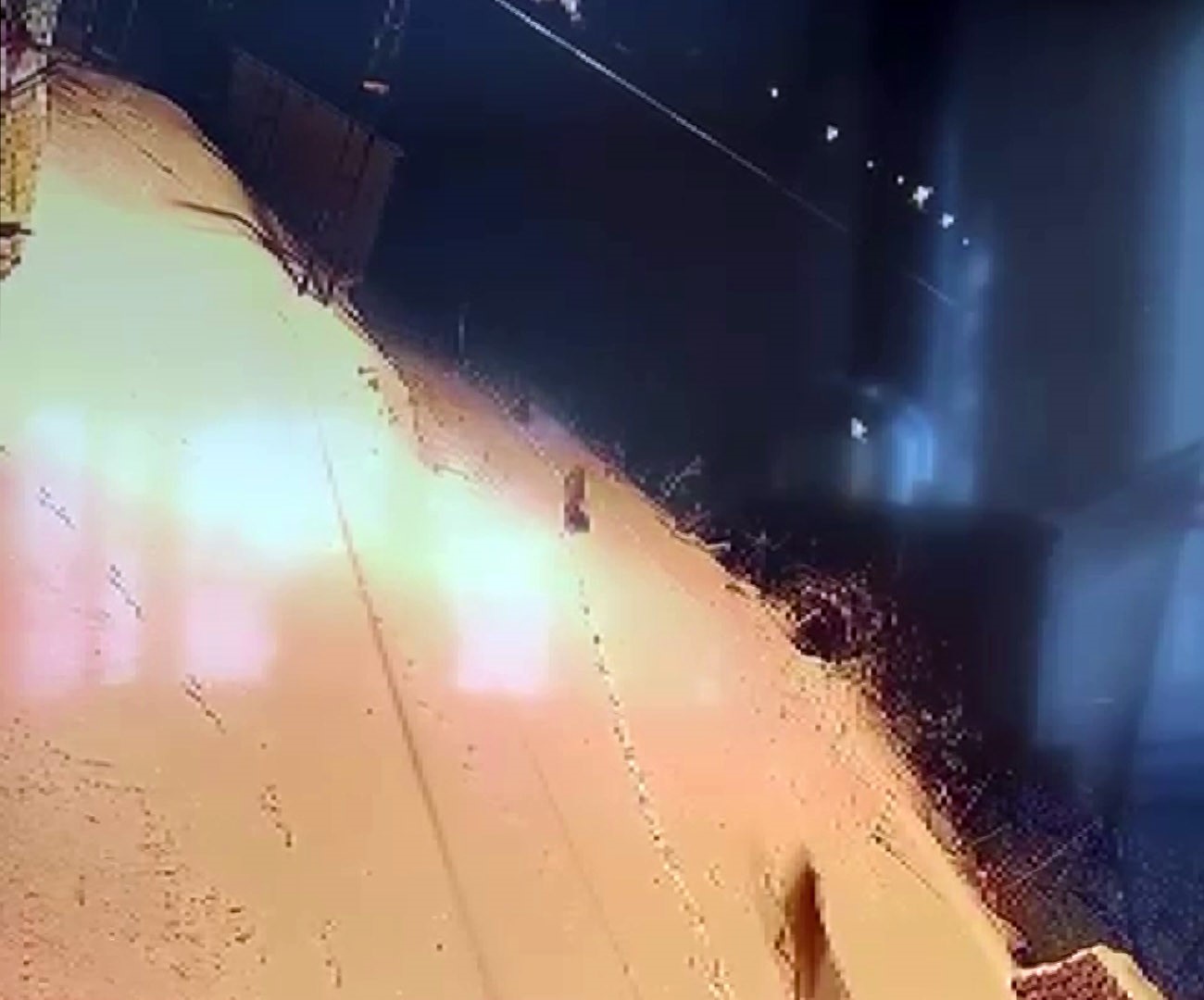 Aç kalan kurt sürüsü şehir merkezine indi
