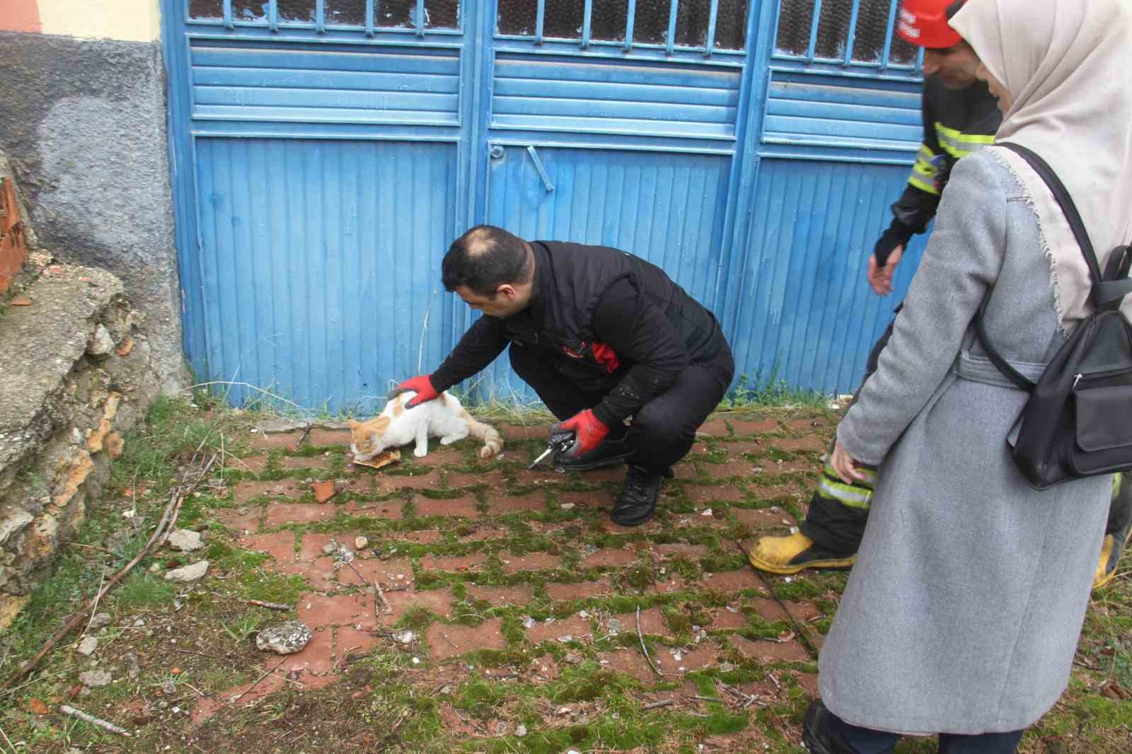 Açlıktan bitkin düşen kedi itfaiye ekiplerince kurtarıldı
