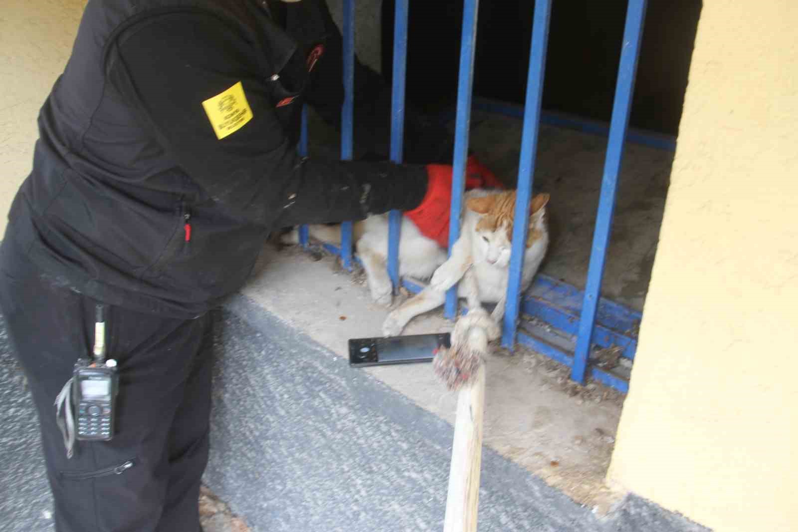 Açlıktan bitkin düşen kedi itfaiye ekiplerince kurtarıldı
