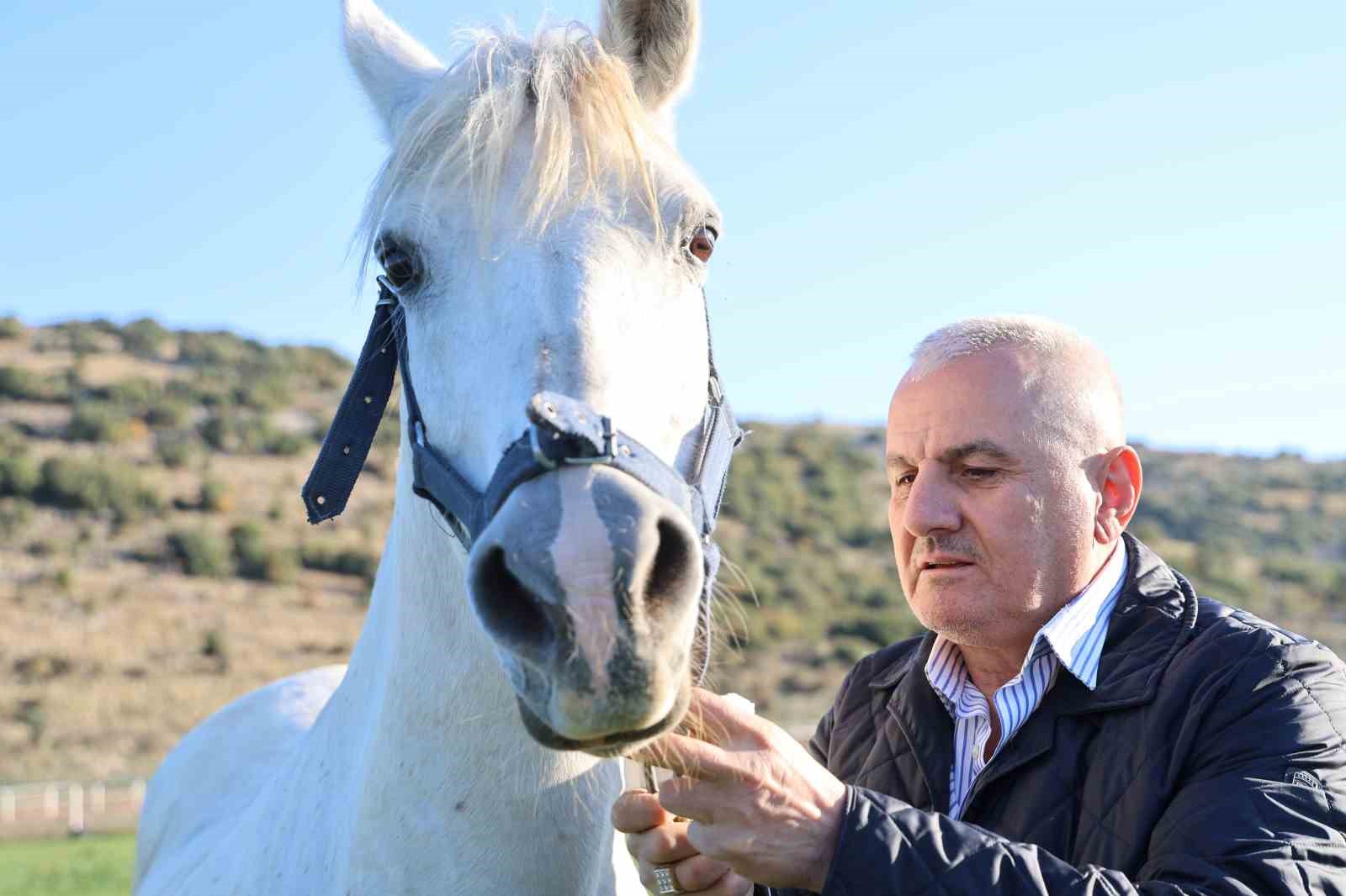 Adana milyonluk İngiliz ve Arap atlarının yetişme alanı oldu
