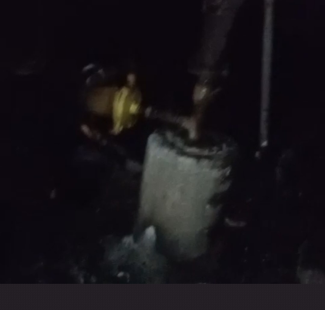 Adana’da 40 güvercin yangında telef oldu
