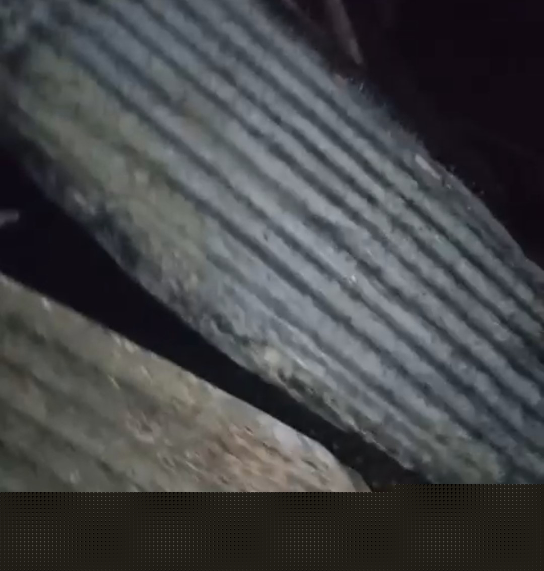 Adana’da 40 güvercin yangında telef oldu
