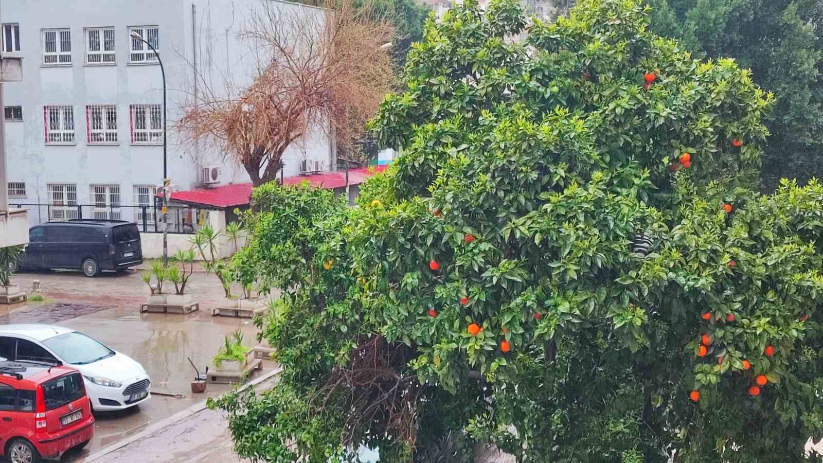 Adana’da bayramda yağmur ve serin hava etkili olacak
Adana’da bayramda yağmur ve serin hava etkili olacak