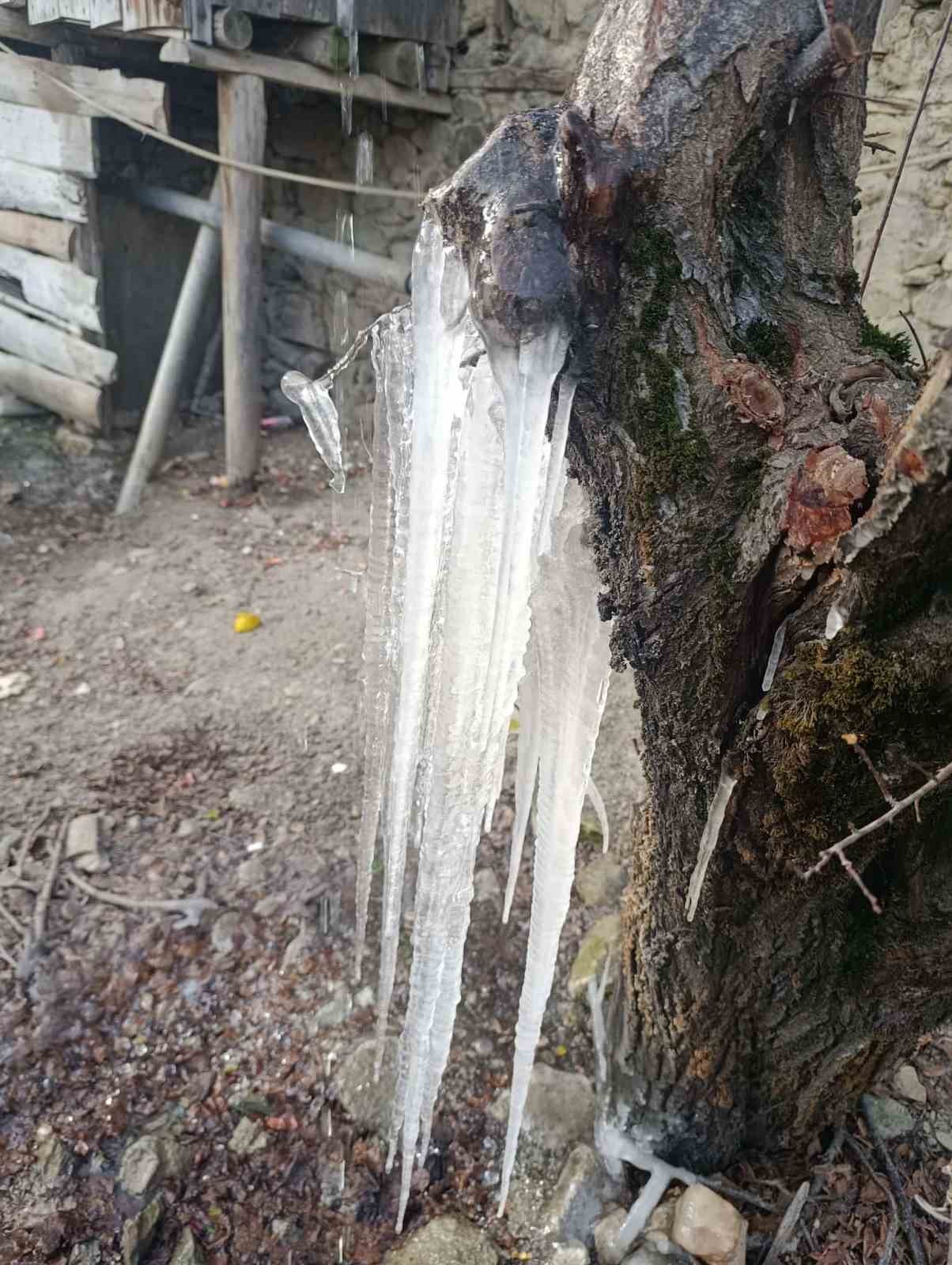 Adana’da buz sarkıtları oluştu
