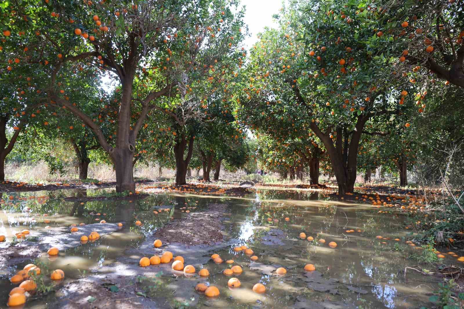 Adana’da iğrenç manzara: Lağımlar sokağa taşıyor, çocuklar üzerinden atlamak zorunda kalıyor
