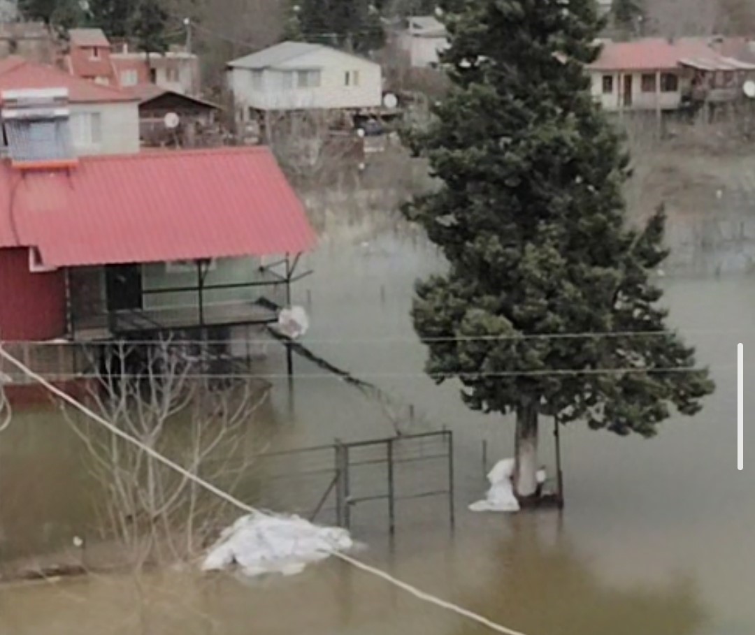 Adana’da köyü su bastı: Yollar kapandı, bir kamyon suya gömüldü
