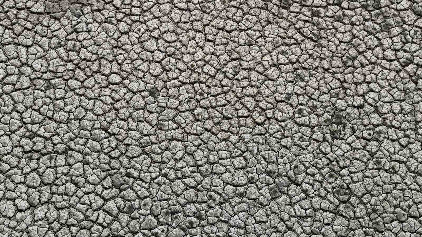 Adana’da kurak geçen yılın ardından barajlar doldu
