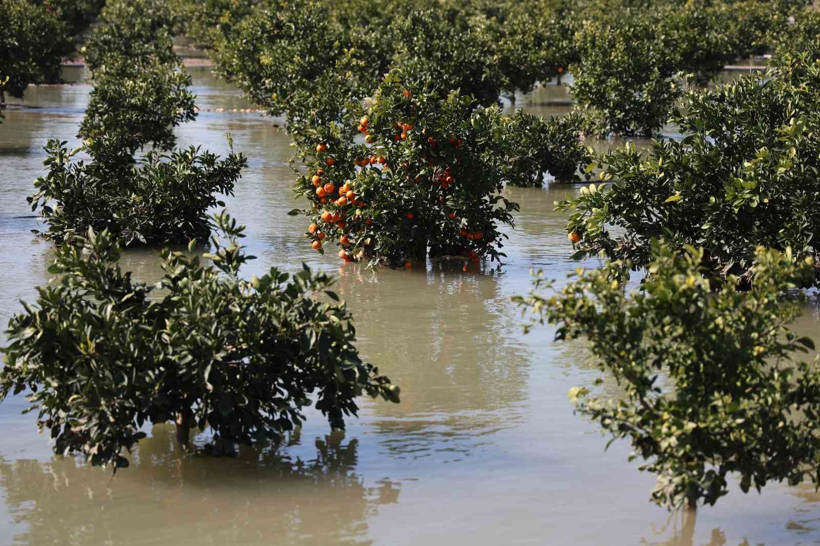 Adana’da sel suları tarım arazilerini sular altında bıraktı
