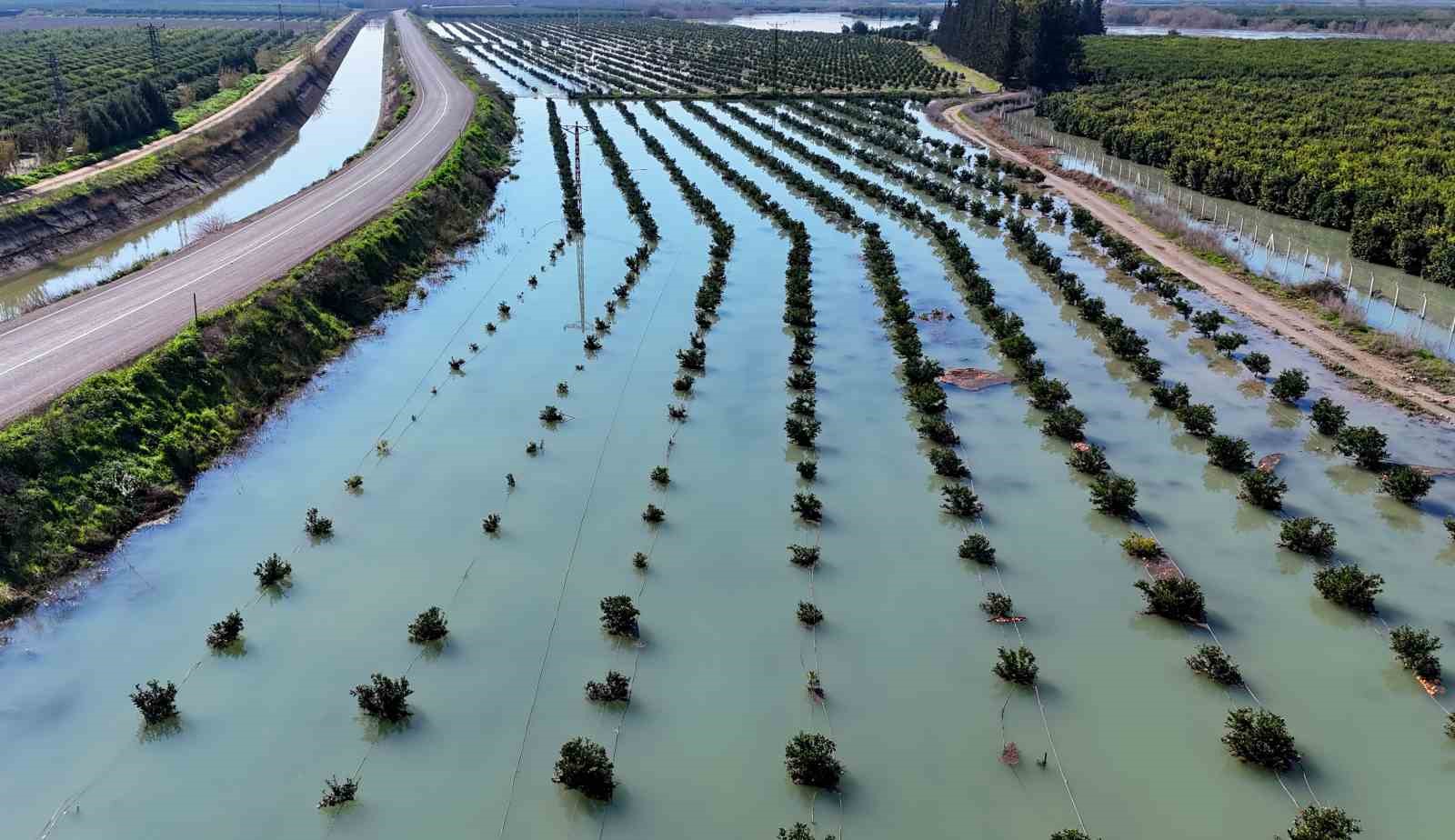 Adana’da sel suları tarım arazilerini sular altında bıraktı
