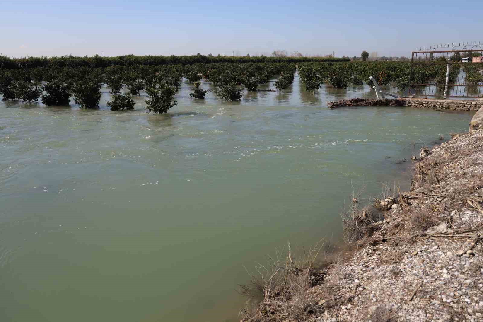 Adana’da sel suları tarım arazilerini sular altında bıraktı
