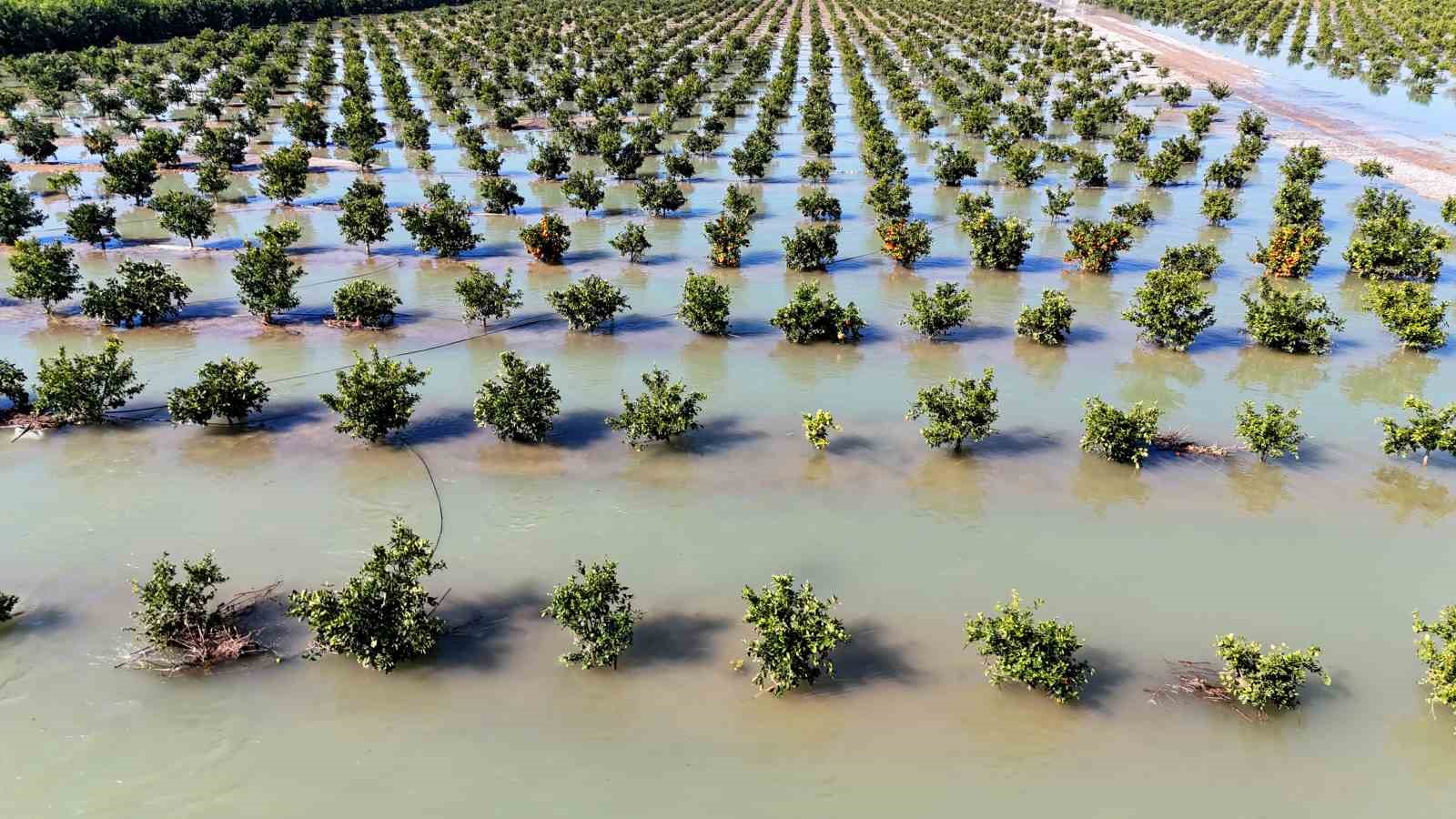 Adana’da sel suları tarım arazilerini sular altında bıraktı
