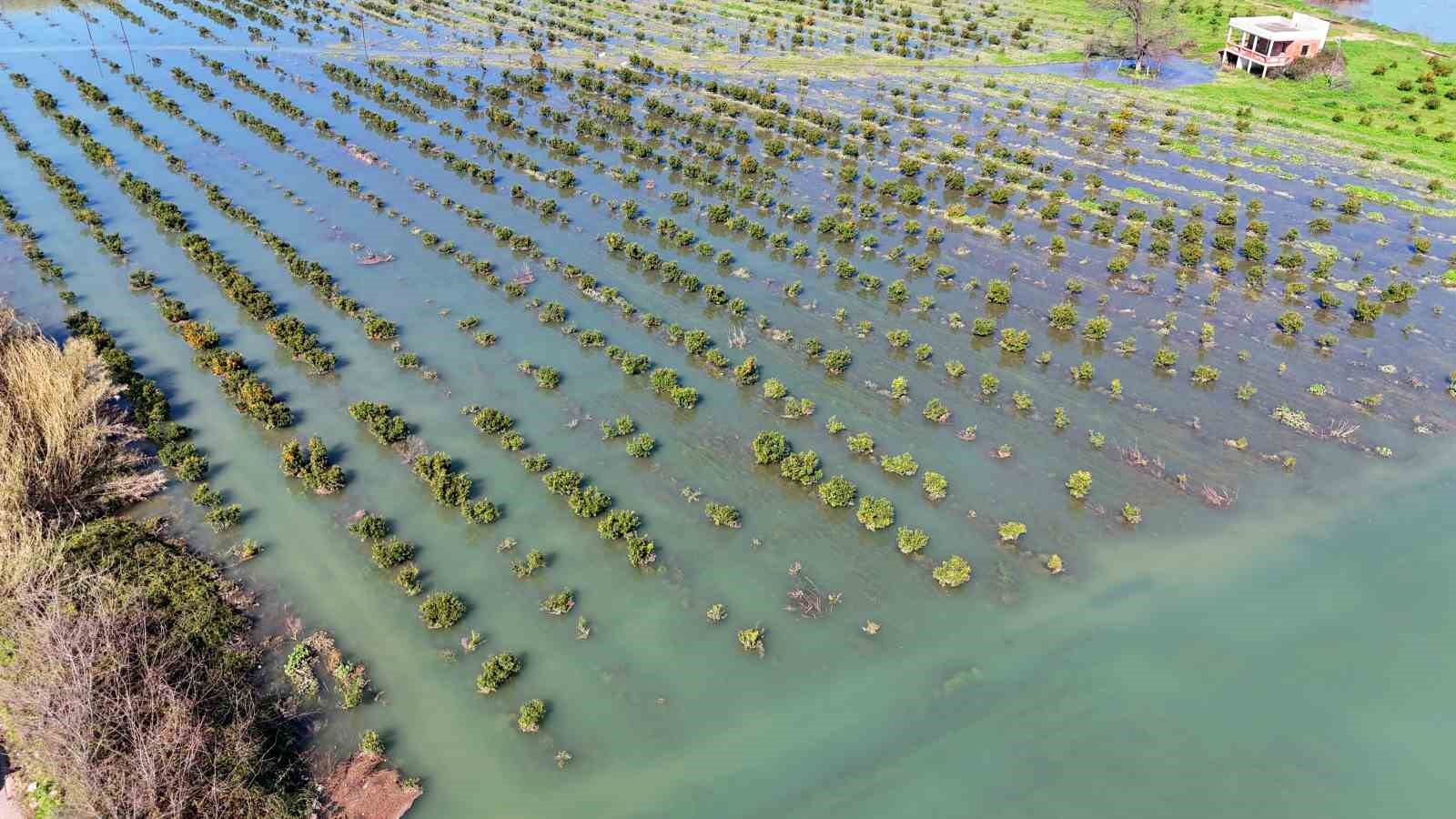 Adana’da sel suları tarım arazilerini sular altında bıraktı
