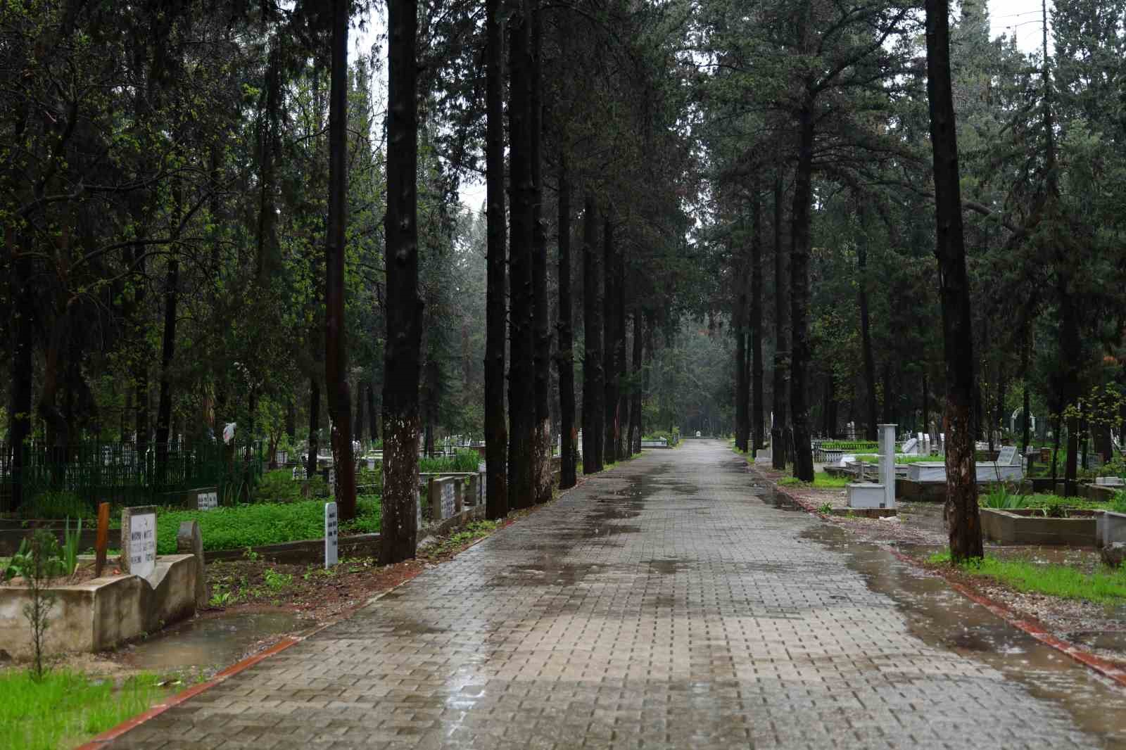 Adana’da şiddetli yağış nedeniyle arife günü mezarlıklar boş kaldı
