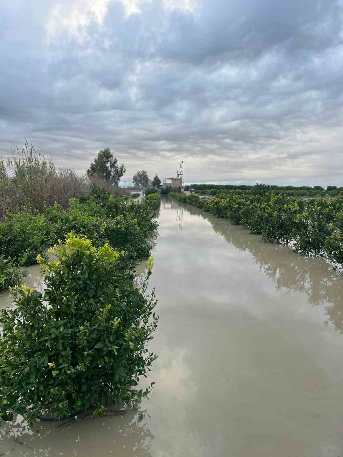 Adana’da şiddetli yağış, tarlaları sular altında bıraktı

