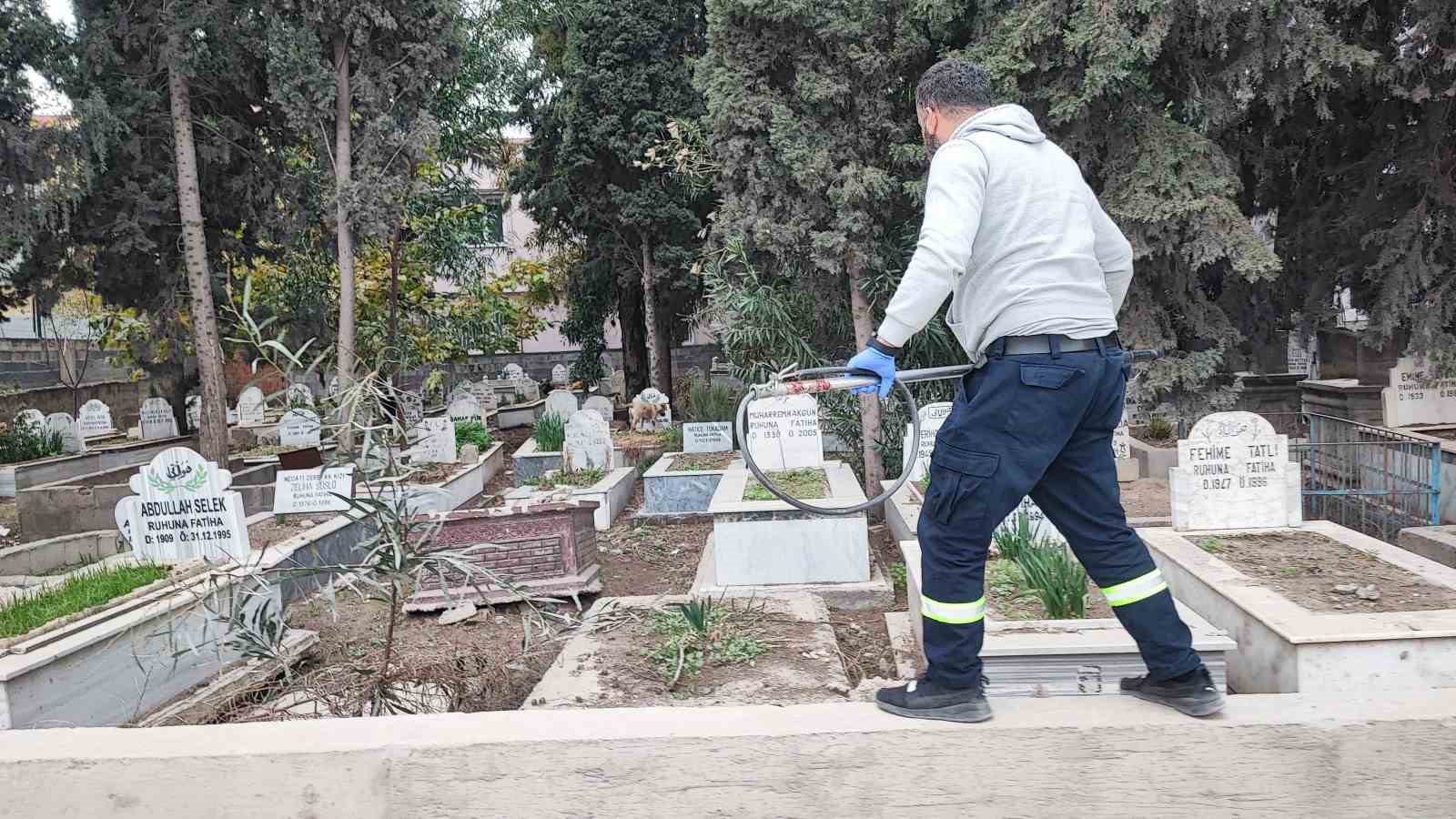 Adana’da sokak köpeği endişesi
