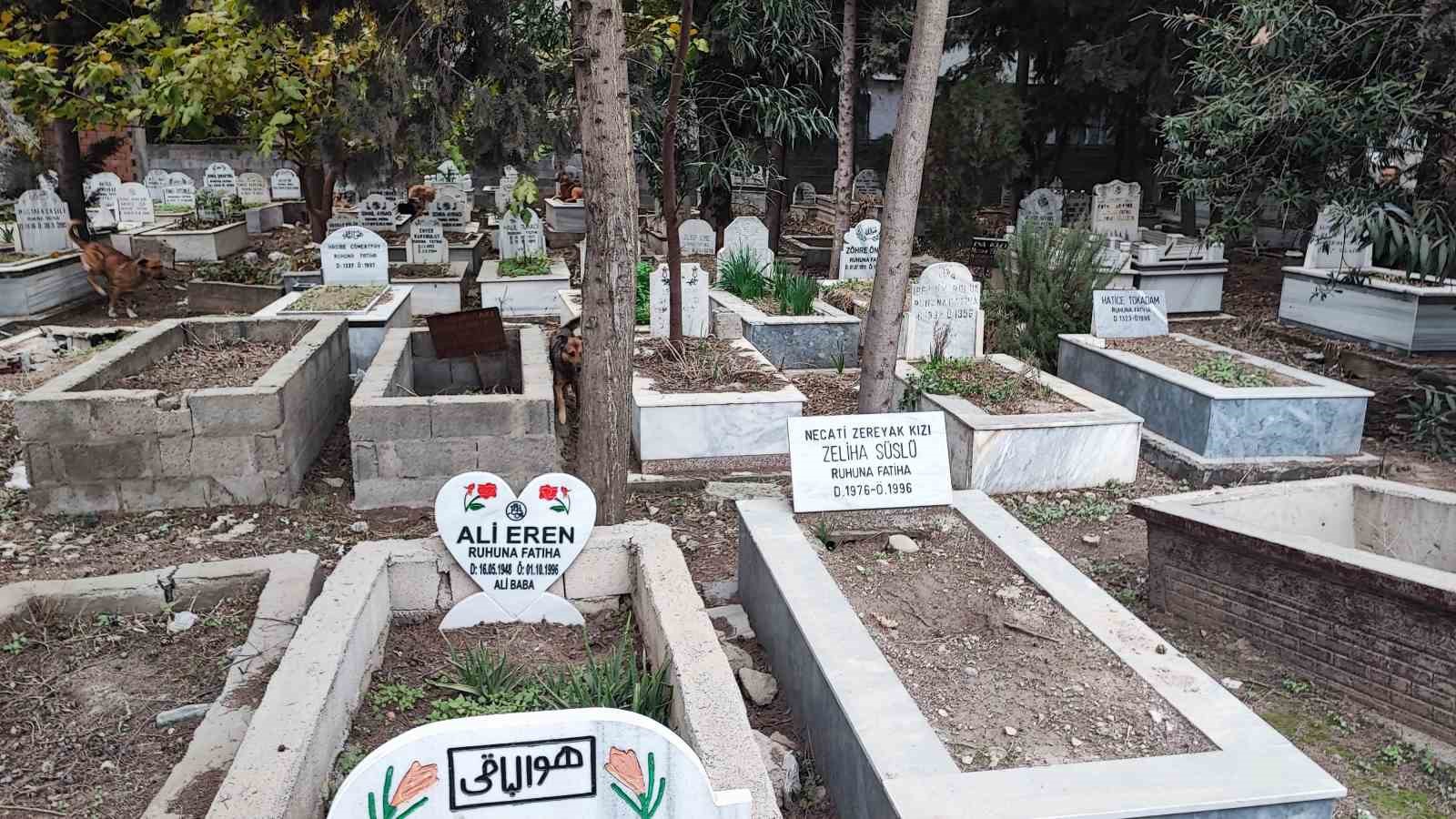 Adana’da sokak köpeği endişesi
