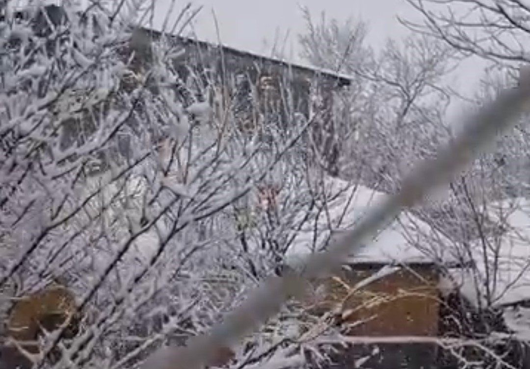 Adana’da yaylalarda kar etkili oldu
