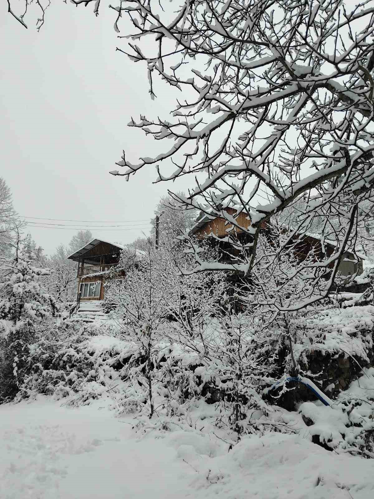 Adanalıların kar sevinci
