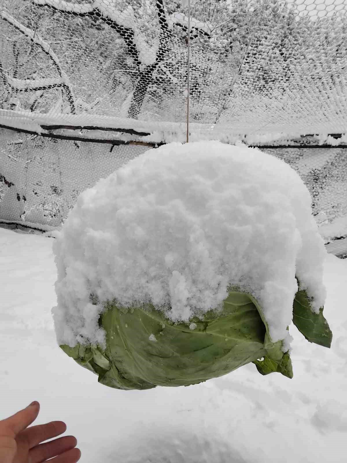 Adanalıların kar sevinci
