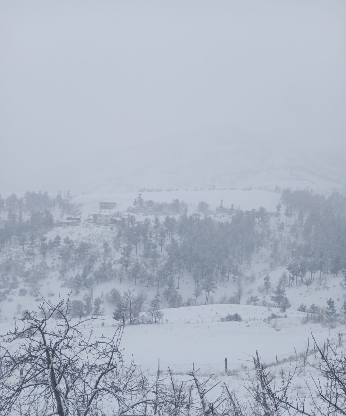 Adanalıların kar sevinci
