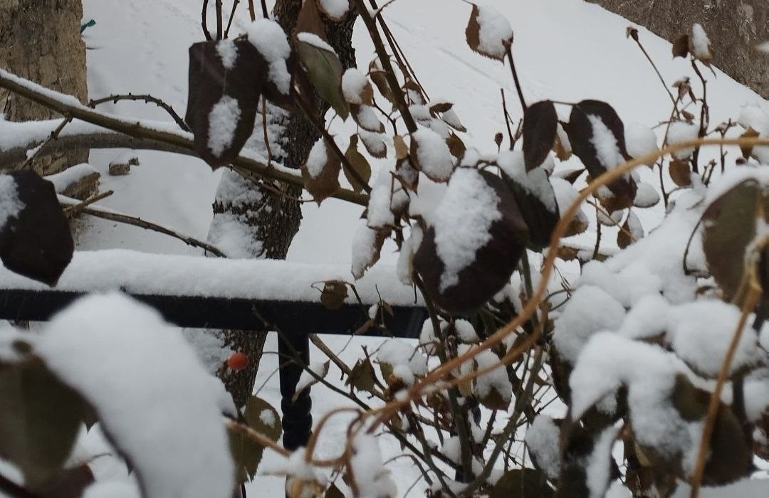 Adana’nın Tufanbeyli ilçesi karla kaplandı
