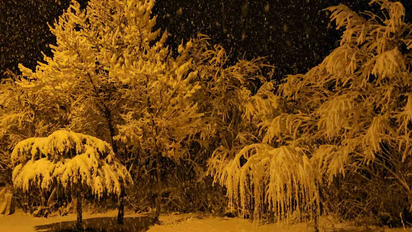 Adilcevaz’da kar yağışı beraberinde güzel görüntüler getirdi
