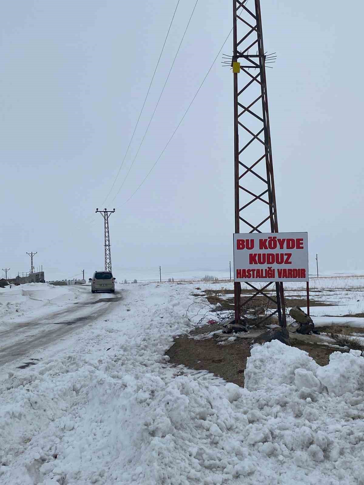 Adilcevaz’da kuduz alarmı: Bir köy karantinaya alındı
