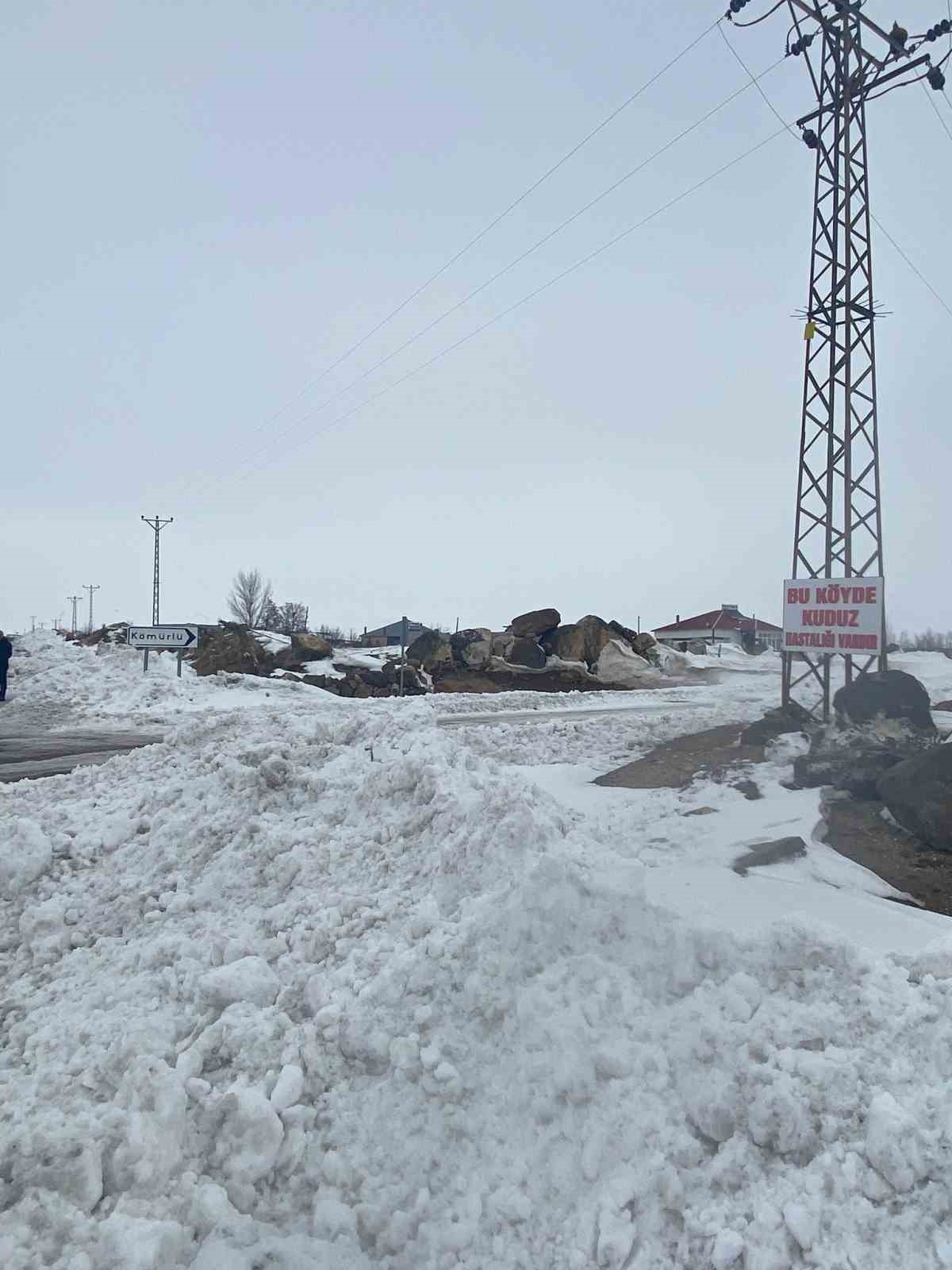 Adilcevaz’da kuduz alarmı: Bir köy karantinaya alındı
