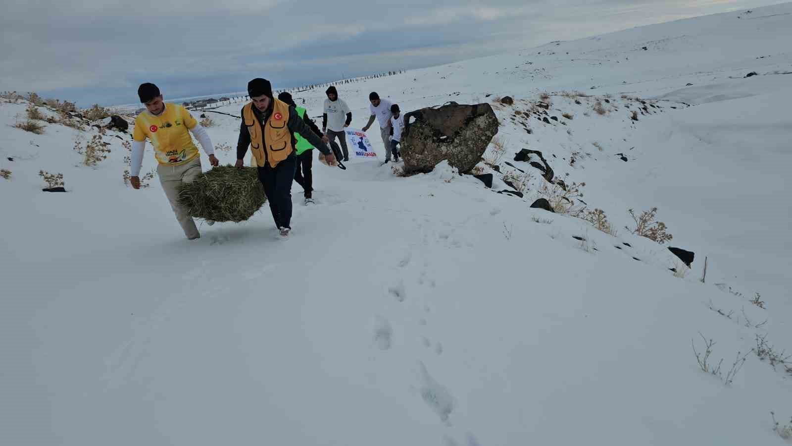 Adilcevaz’da yaban hayvanları unutulmadı: Aktivistlerden Süphan Dağı eteğine yem bıraktı
