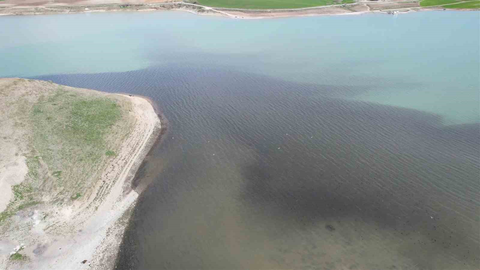 Adıyaman’ın kanalizasyon atığı Atatürk Barajı’nı siyaha bürüdü
