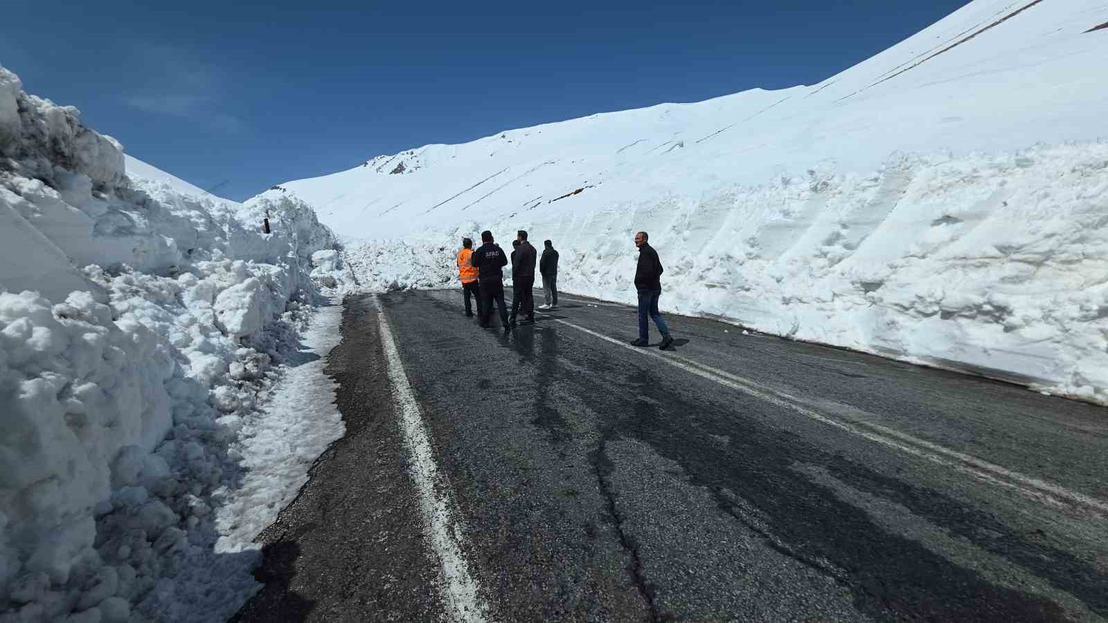 AFAD, Bahçesaray yolunda çığ incelemesi yaptı
