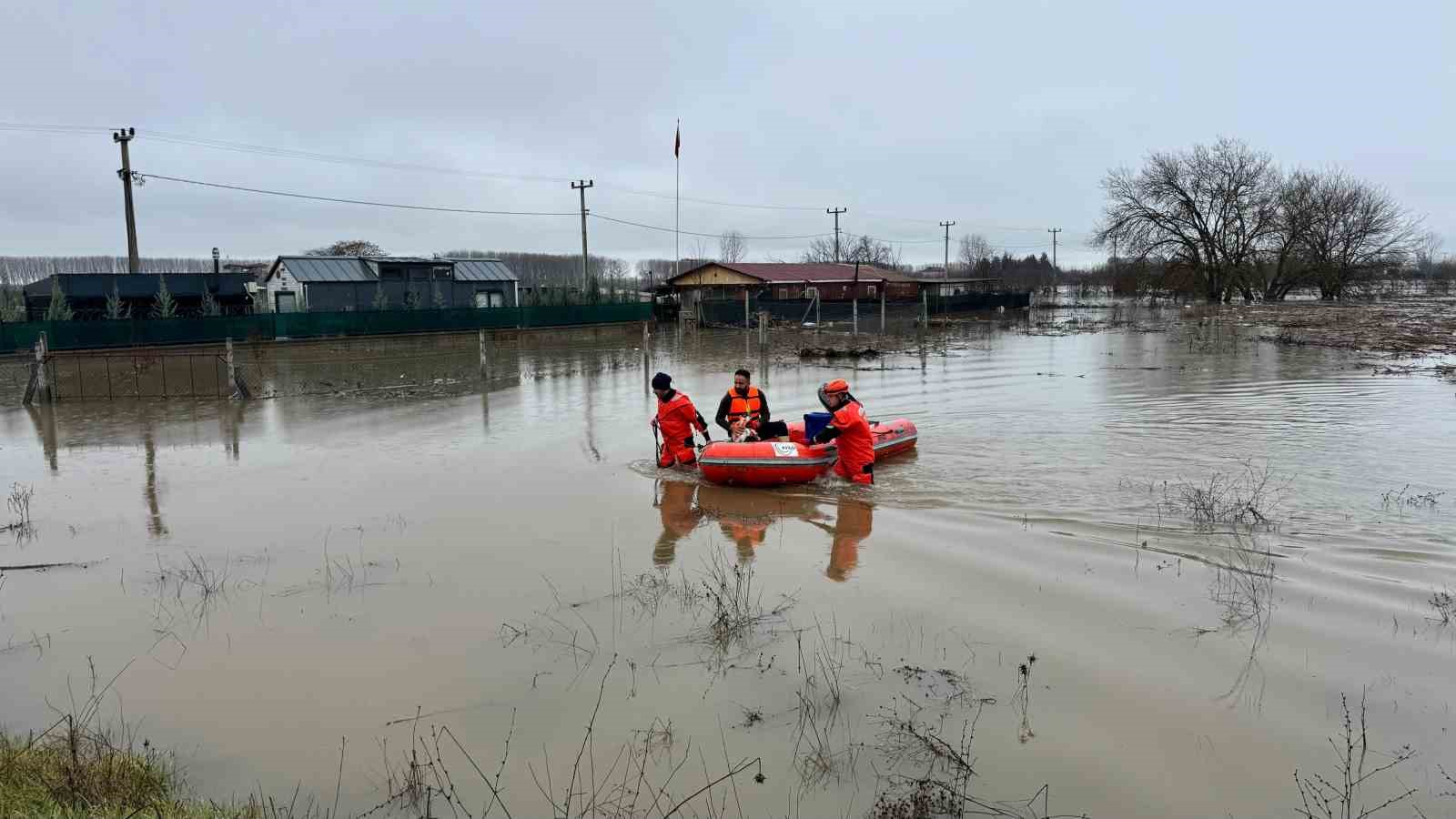 AFAD mahsur kalan hayvanları tahliye ediyor
