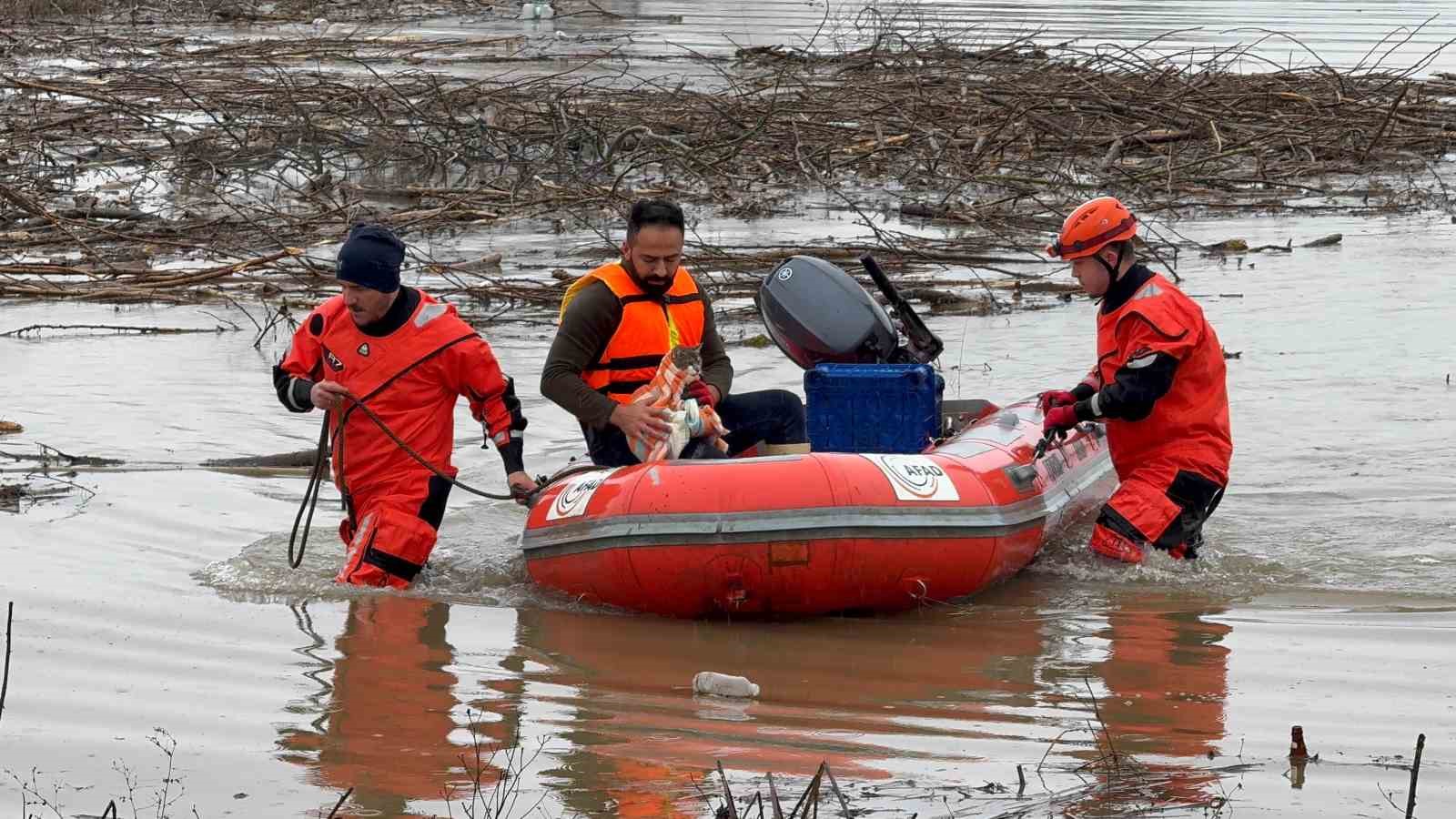 AFAD mahsur kalan hayvanları tahliye ediyor
