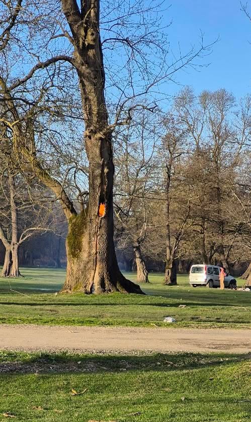 Ağaç kovuğunda yangın çıkarıldı
