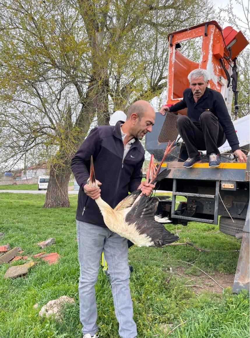 Ağaçta asılı kalan leylek kurtarıldı
