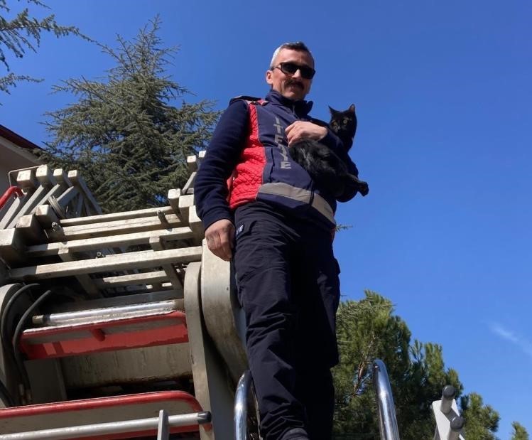 Ağaçta kalan kediyi itfaiye kurtardı
